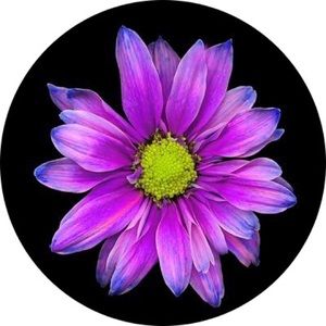 Meet your Posher, Mali